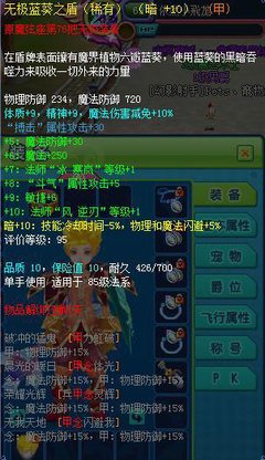 《新飞飞》牧师角色加点与优化攻略