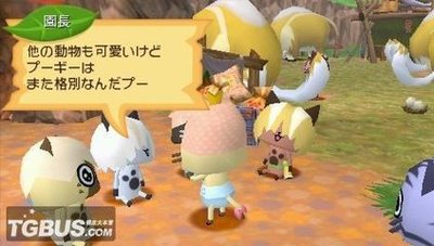 《暖洋洋的猫猫村》游戏攻略：打造属于你的猫咪天堂